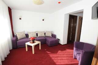 Гостевой дом Casa Tad Буштени Номер-студио с кроватью размера "king-size" и диван-кроватью-1